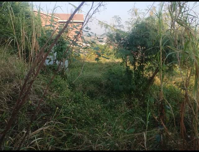 915M² VACANT LAND FOR SALE IN BLUFF